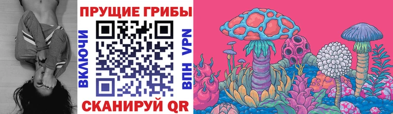 Псилоцибиновые грибы мицелий  дарнет шоп  Тавда 